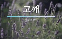 고깨 뜻: ‘고까’의 방언