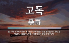 고독 뜻: 뱀, 지네, 두꺼비 따위의 독. 또는 이 독이 들어 있는 음식을 먹고 생긴 병. 배앓이, 고독 뜻: 뱀, 지네, 두꺼비 따위의 독. 또는 이 독이... 