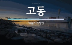 고동 뜻: ‘다슬기’의 방언