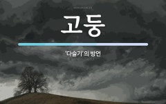 고둥 뜻: ‘다슬기’의 방언