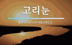 고리눈 뜻: 놀라거나 화가 나서 휘둥그레진 눈.