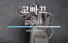고빠끄 뜻: ‘고파크’의 북한어.