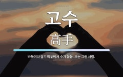고수 뜻: 바둑이나 장기 따위에서 수가 높음. 또는 그런 사람.