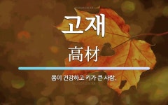 고재 뜻: 몸이 건강하고 키가 큰 사람.