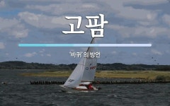 고팜 뜻: ‘바퀴’의 방언