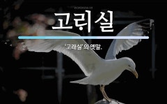 고실 뜻: ‘고래실’의 옛말. 고실 뜻: ‘고래실’의 옛말.