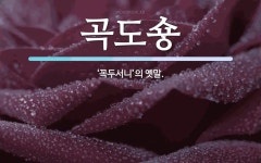 곡도 뜻: ‘꼭두서니’의 옛말. 곡도 뜻: ‘꼭두서니’의 옛말.