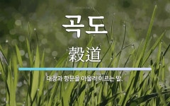 곡도 뜻: 대장과 항문을 아울러 이르는 말.