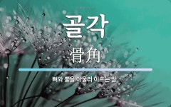 골각 뜻: 뼈와 뿔을 아울러 이르는 말.