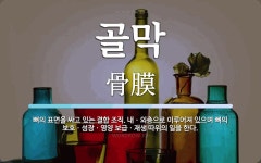 골막 뜻: 뼈의 표면을 싸고 있는 결합 조직. 내ㆍ외층으로 이루어져 있으며 뼈의 보호ㆍ성장ㆍ영양 보급