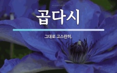 곱다시 뜻: 그대로 고스란히.
