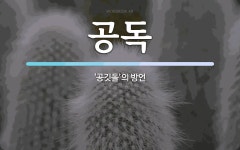 공독 뜻: ‘공깃돌’의 방언