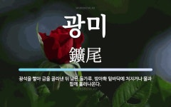 광미 뜻: 광석을 빻아 금을 골라낸 뒤 남은 돌가루. 방아확 밑바닥에 처지거나 물과 함께 흘러나온다.