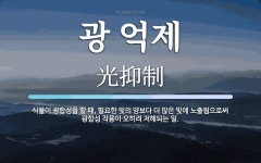 광 억제 뜻: 식물이 광합성을 할 때, 필요한 빛의 양보다 더 많은 빛에 노출됨으로써 광합성 작용이 오히