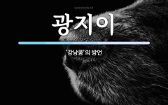 광지이 뜻: ‘강낭콩’의 방언