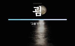굄 뜻: ‘고욤’의 방언