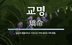 교명 뜻: 임금의 명령이라고 거짓으로 꾸며 내리던 가짜 명령.