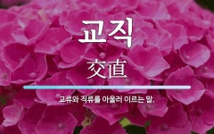 교직 뜻: 교류와 직류를 아울러 이르는 말.