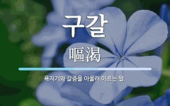 구갈 뜻: 욕지기와 갈증을 아울러 이르는 말.