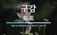 구감 뜻: 거울로 삼아 본받을 만한 모범. ⇒규범 표기는 ‘귀감’이다.