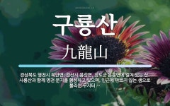구룡산 뜻: 경상북도 영천시 북안면, 경산시 용성면, 청도군 운문면에 걸쳐 있는 산. 사룡산과 함께 영
