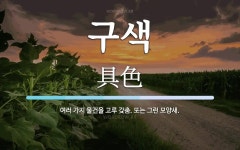구색 뜻: 여러 가지 물건을 고루 갖춤. 또는 그런 모양새.