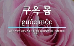 구옥 몹 뜻: 나막신 모양의 베트남 전통 신발. 색을 칠하지 않고 소재 느낌을 그대로 살린다. 구옥 몹 뜻: 나막신 모양의 베트남 전통 신발. 색을...