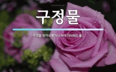 구정물 뜻: 무엇을 씻거나 빨거나 하여 더러워진 물.