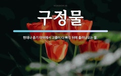 구정물 뜻: 헌데나 종기 따위에서 고름이 다 빠진 뒤에 흘러나오는 물.