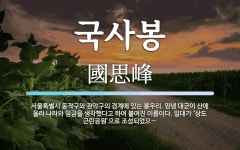 국사봉 뜻: 서울특별시 동작구와 관악구의 경계에 있는 봉우리. 양녕 대군이 산에 올라 나라와 임금을 생
