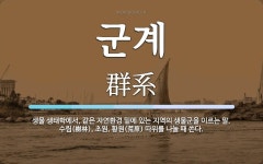 군계 뜻: 생물 생태학에서, 같은 자연환경 밑에 있는 지역의 생물군을 이르는 말. 수림(樹林), 초원
