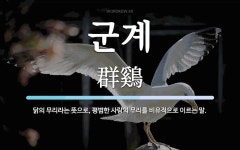 군계 뜻: 닭의 무리라는 뜻으로, 평범한 사람의 무리를 비유적으로 이르는 말.