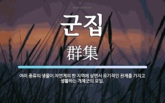 군집 뜻: 여러 종류의 생물이 자연계의 한 지역에 살면서 유기적인 관계를 가지고 생활하는 개체군의 모