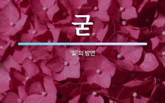 굳 뜻: ‘밑’의 방언