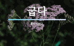 굽다 뜻: 불에 익히다.