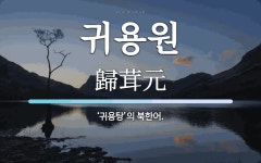 귀용원 뜻: ‘귀용탕’의 북한어.