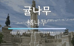 귤나무 뜻: 운향과의 광귤나무, 홍귤나무, 온주귤나무 따위를 통틀어 이르는 말.
