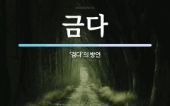 금다 뜻: ‘검다’의 방언