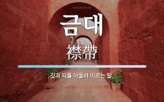 금대 뜻: 깃과 띠를 아울러 이르는 말.