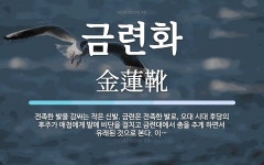 금련화 뜻: 전족한 발을 감싸는 작은 신발. 금련은 전족한 발로, 오대 시대 후당의 후주가 애첩에게 발