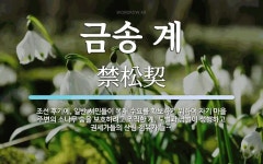 금송 계 뜻: 조선 후기에, 일반 서민들이 목재 수요를 확보하기 위하여 자기 마을 주변의 소나무 숲을 보