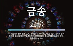 금송 뜻: 낙우송과의 상록 침엽 교목. 높이는 15미터 정도이고, 15~40개의 잎이 마디에 돌려나서