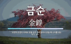 금순 뜻: ‘’ 모양의