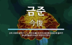 금준 뜻: 고려 시대의 승려(?~?). 여진(女眞)의 아지고촌(阿只古村)에 들어가 금나라 황실의 조상