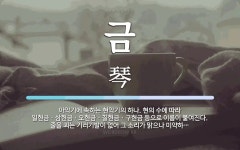 금 뜻: 아악기에 속하는 현악기의 하나. 현의 수에 따라 일현금ㆍ삼현금ㆍ오현금ㆍ칠현금ㆍ구현금 등으로