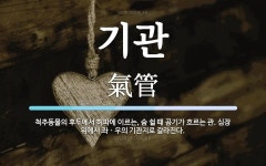 기관 뜻: 척추동물의 후두에서 허파에 이르는, 숨 쉴 때 공기가 흐르는 관. 심장 위에서 좌ㆍ우의 기