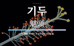 기두 뜻: 나례(儺禮)에 쓰던, 두 눈이 달린 귀신의 탈.