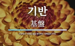 기반 뜻: 산호에서 석회질 골을 분비하는 외배엽의 부위.
