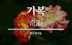 기복 뜻: 별난 옷차림.