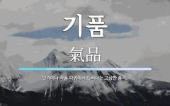 기품 뜻: 인격이나 작품 따위에서 드러나는 고상한 품격.